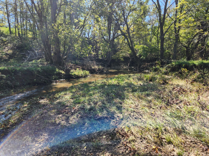 Listing Image 63