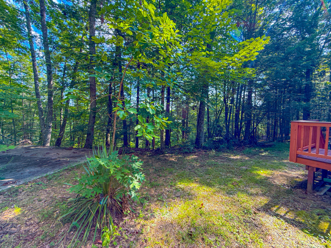 Listing Image 28