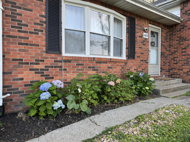 Listing Image 65