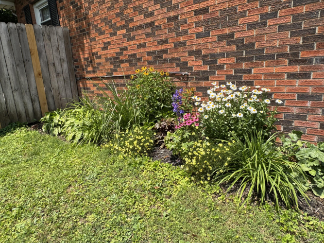 Listing Image 66