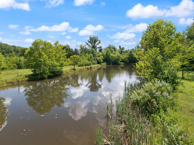 Listing Image 88