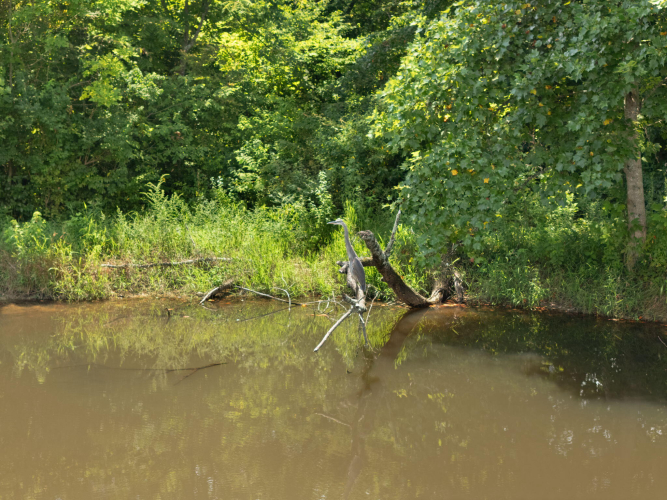 Listing Image 90