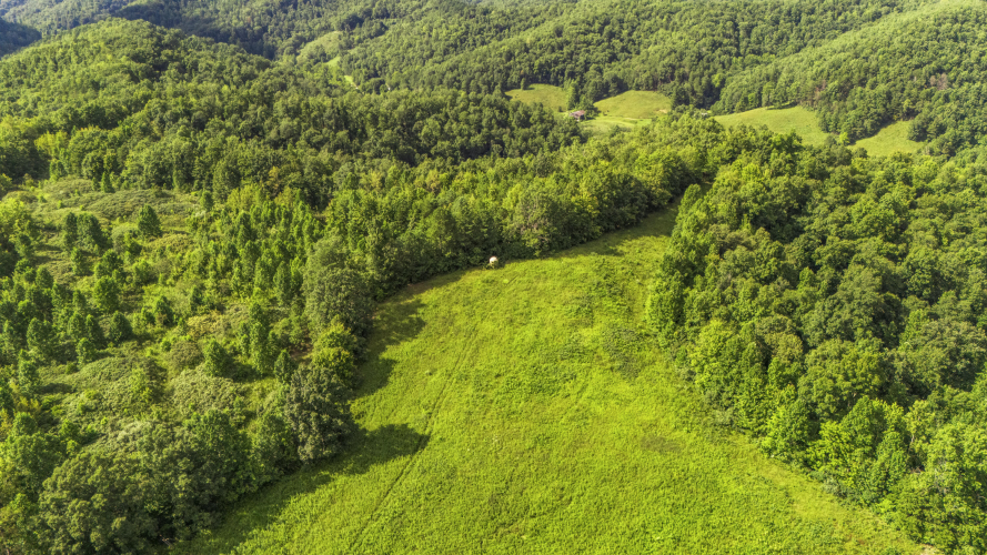 Listing Image 13