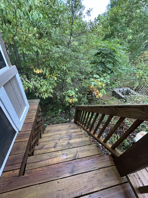 Listing Image 64