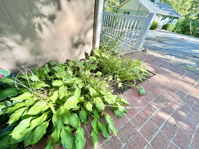 Listing Image 71