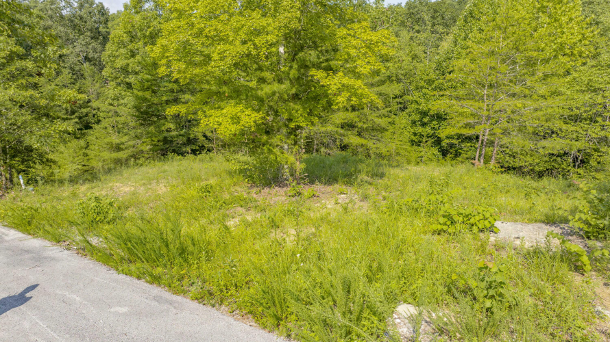 Listing Image 25