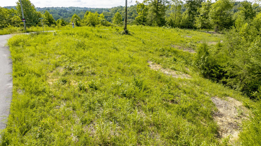 Listing Image 27