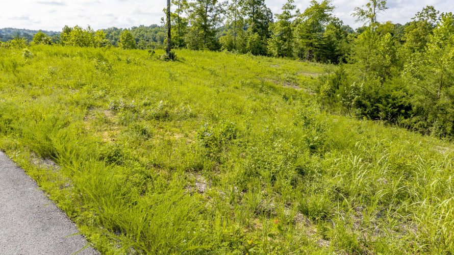 Listing Image 29