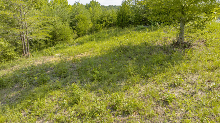 Listing Image 24