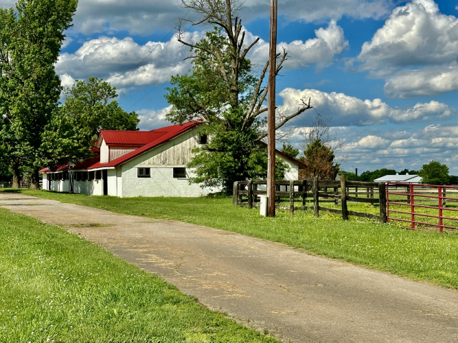 Listing Image 16