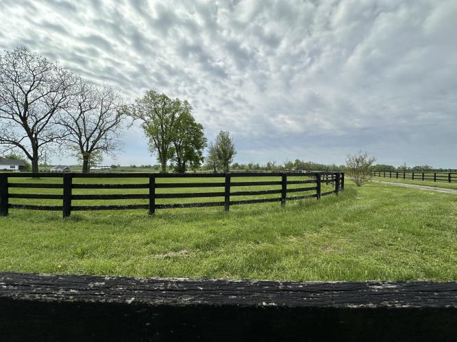 Listing Image 28