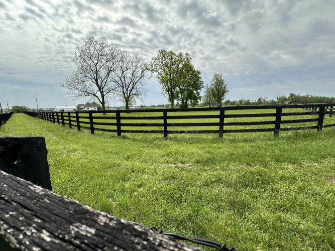 Listing Image 29