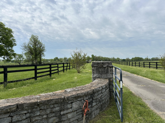 Listing Image 33