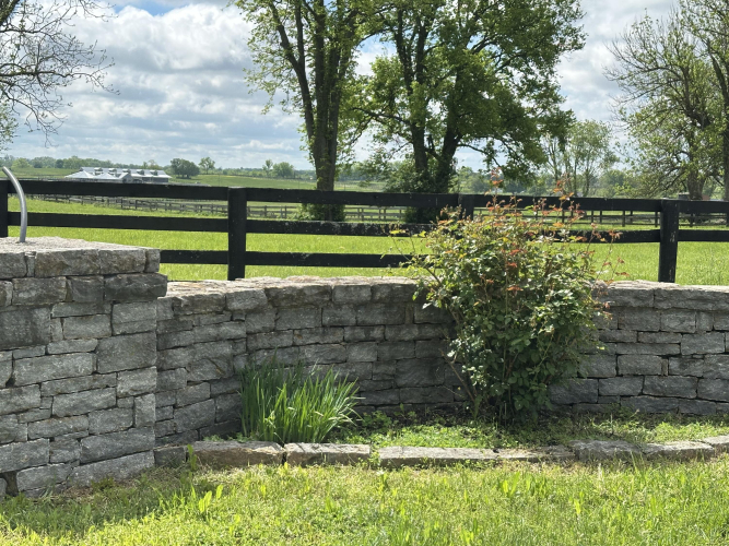 Listing Image 34