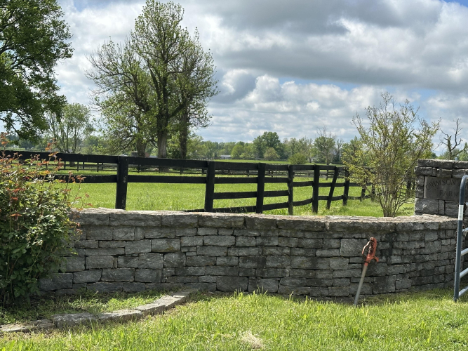 Listing Image 36