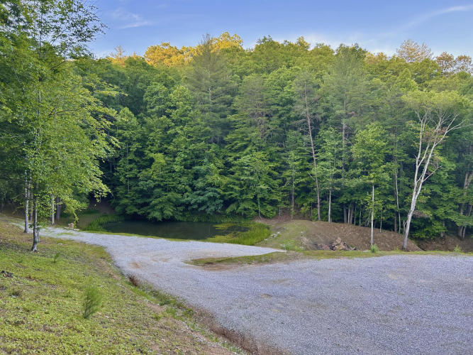 Listing Image 43