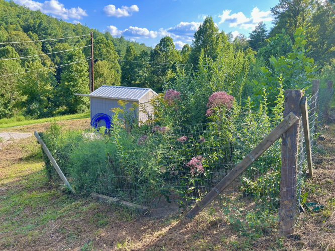 Listing Image 48