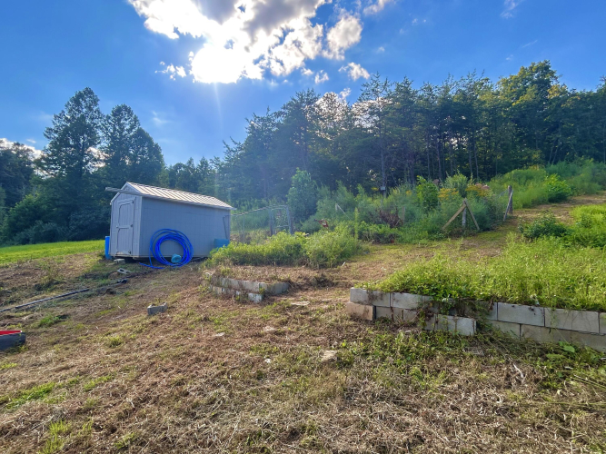 Listing Image 49
