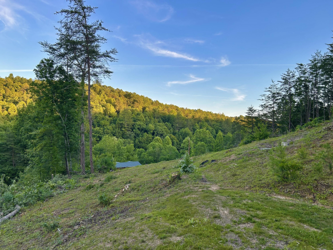 Listing Image 54
