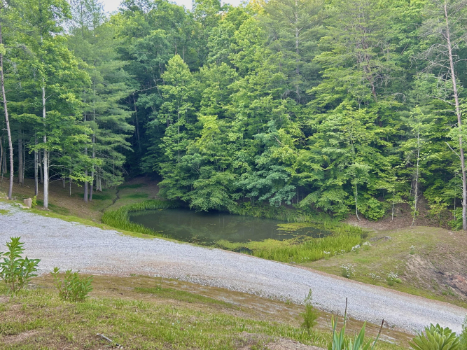 Listing Image 58