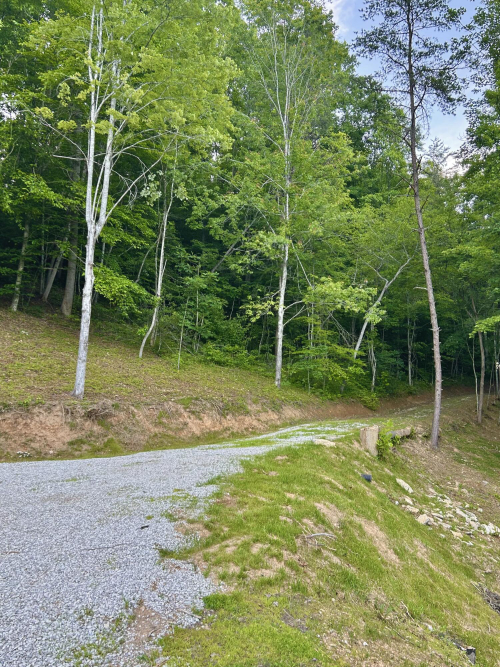 Listing Image 59