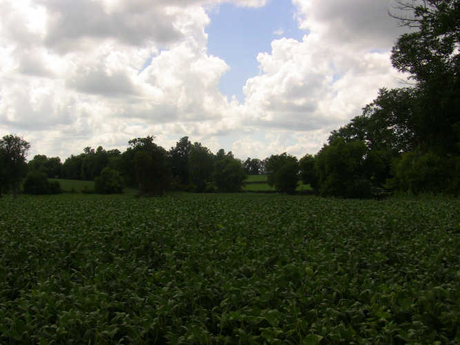 Listing Image 18
