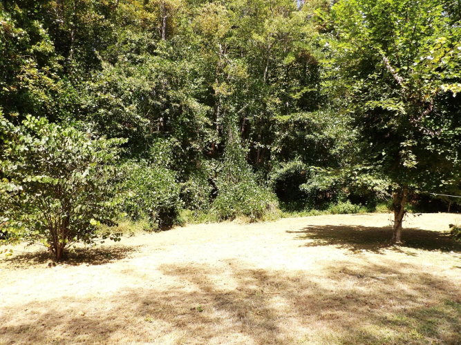 Listing Image 24