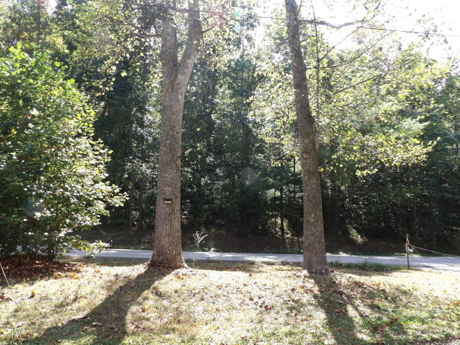Listing Image 25