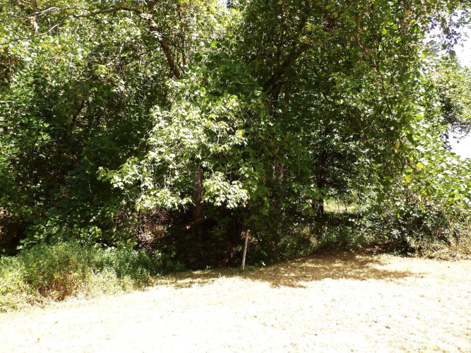 Listing Image 27