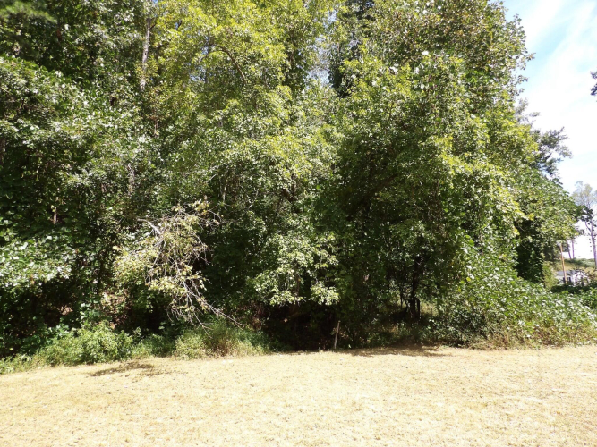 Listing Image 28
