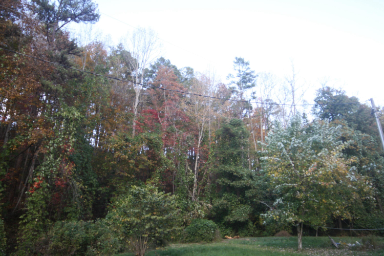 Listing Image 29