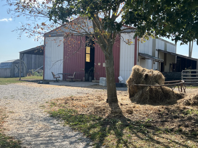Listing Image 17