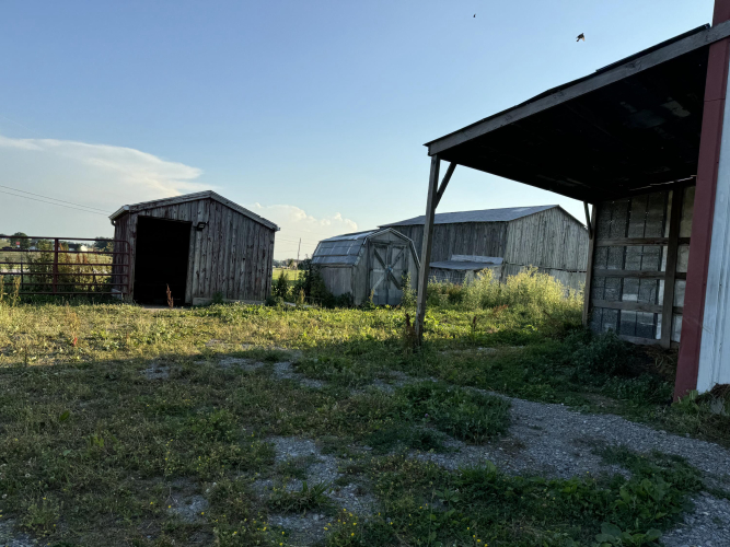 Listing Image 19