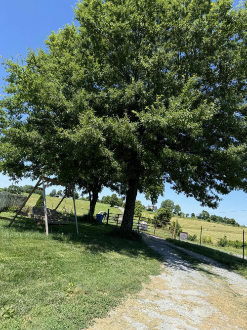 Listing Image 70