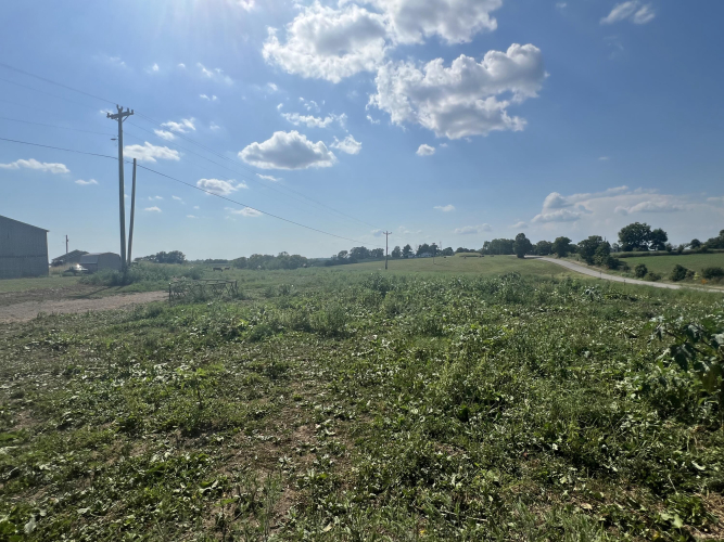 Listing Image 73