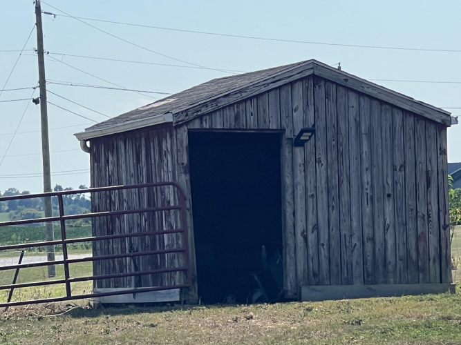 Listing Image 74