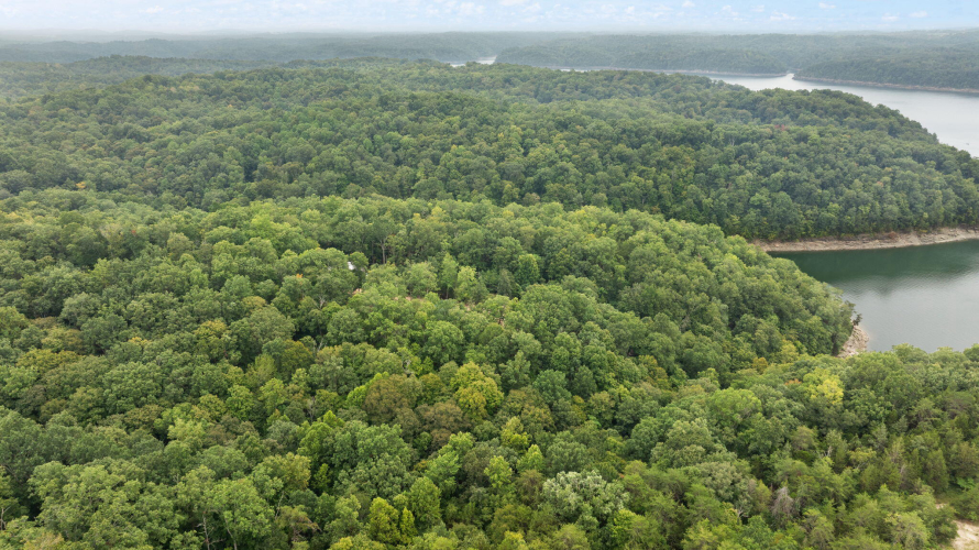 Listing Image 80