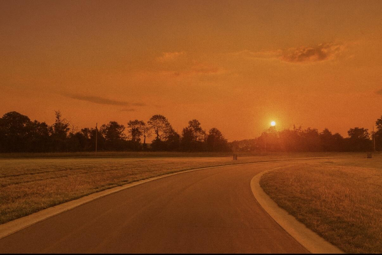 Listing Image 24