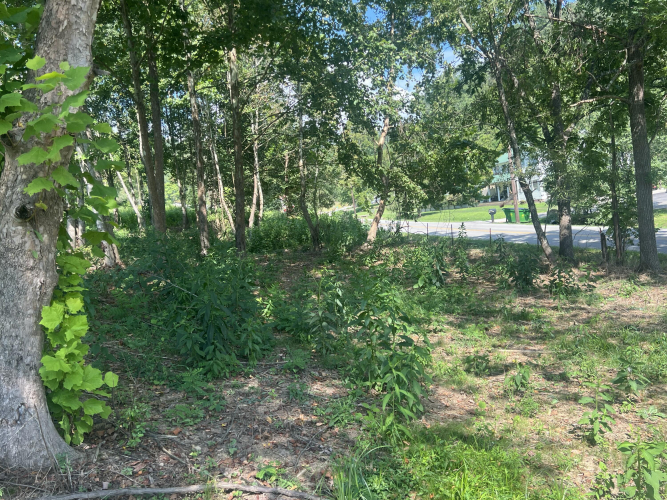 Listing Image 14