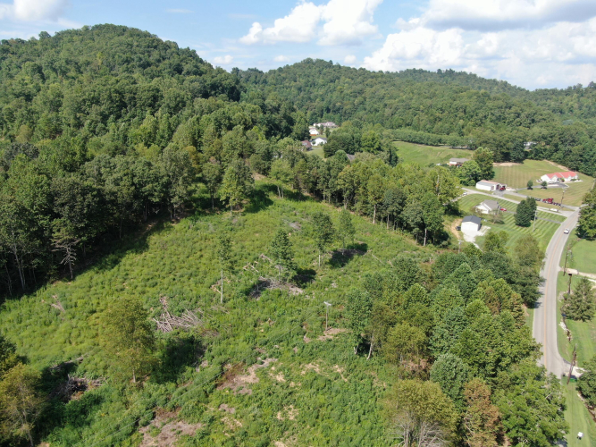 Listing Image 5