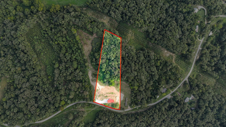 Listing Image 64