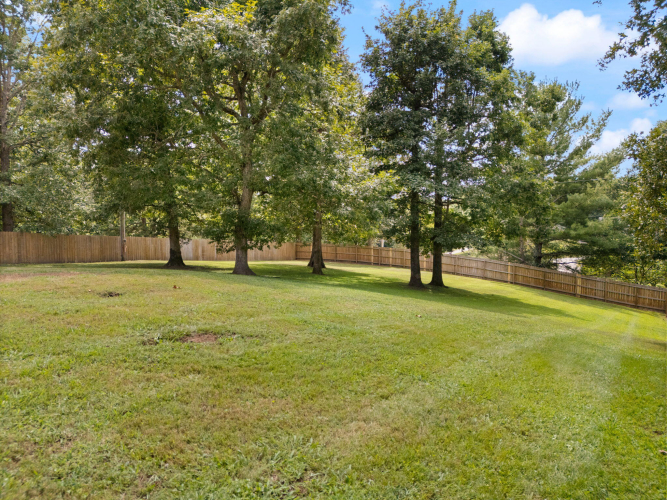 Listing Image 81