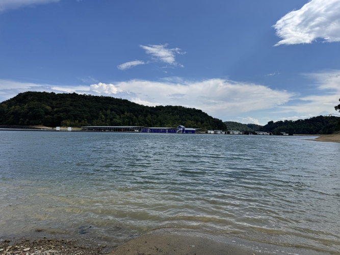 Listing Image 102
