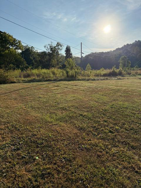 Listing Image 30
