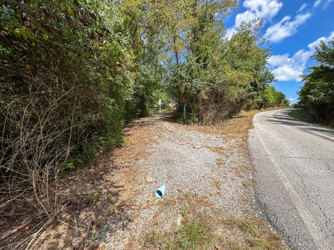 Listing Image 24
