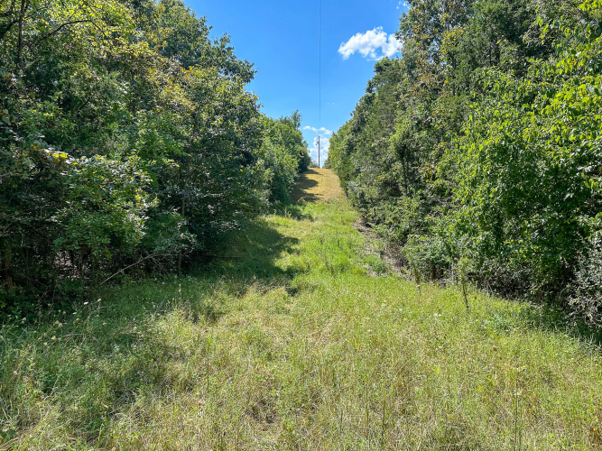 Listing Image 26