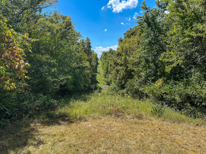 Listing Image 27