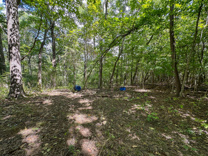 Listing Image 35
