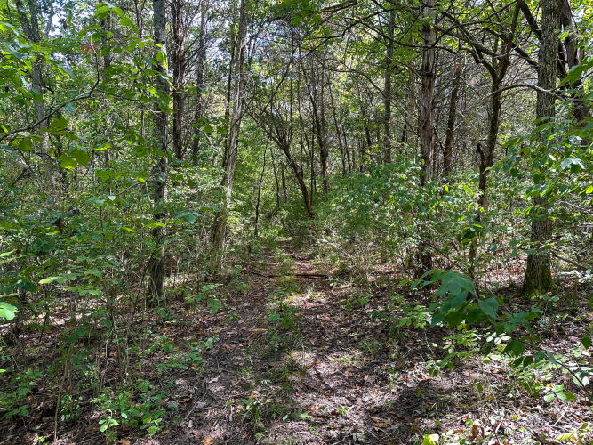 Listing Image 36