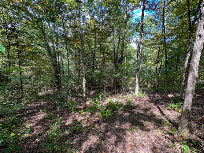 Listing Image 37